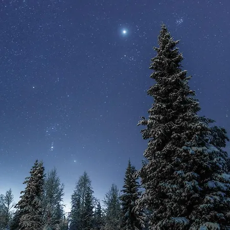 In Lapland - Rukakorpi 3 Ruka